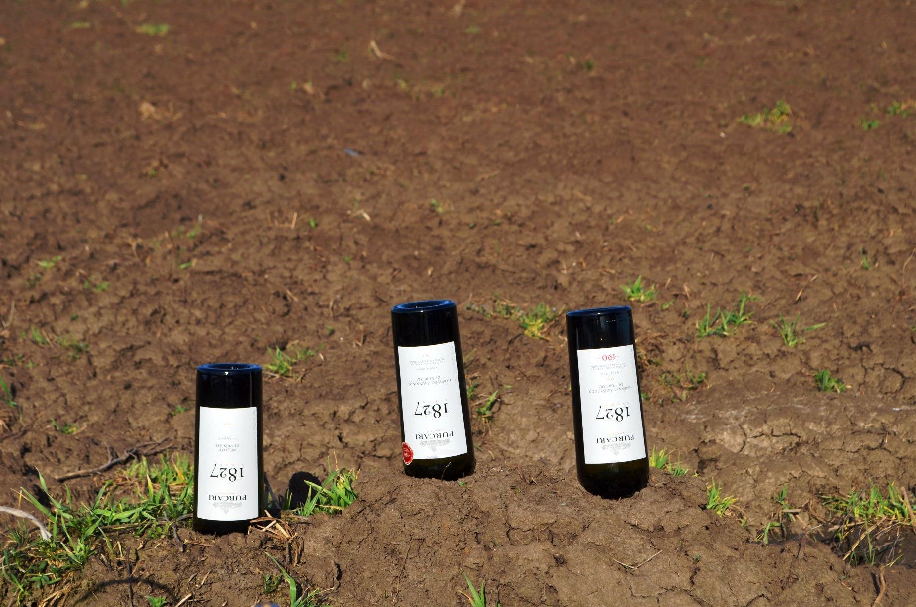 Bila 2 30 martie - 1 aprilie 2018 - 7.jpg